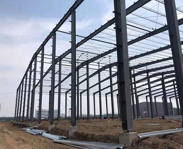 1679378569.jpeg 1679378569.jpeg