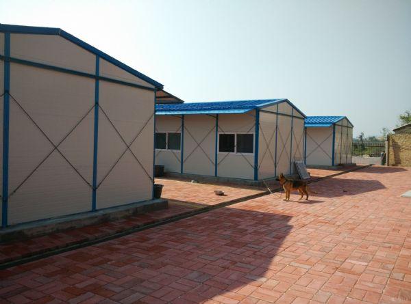 1680676685.jpeg 1680676685.jpeg